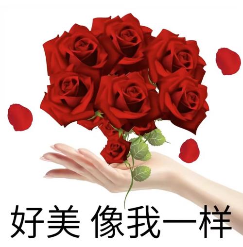 好美 像我一样