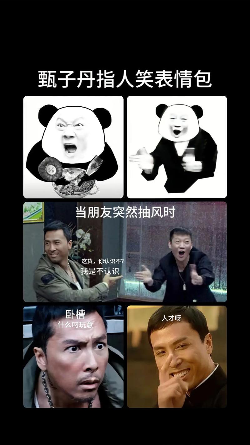 甄子丹指人笑表情包 当朋友突然抽风时 这货，你认识不？ 我是不认识 卧槽 人才呀 什么呀玩意