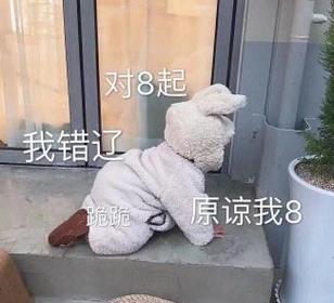 对8起 我错辽 原谅我8