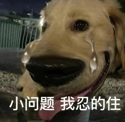 小问题我忍的住