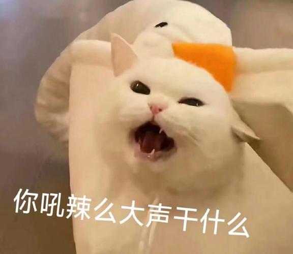 你吼辣么大声干什么