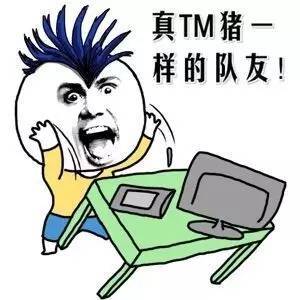 真TM猪一 样的队友！