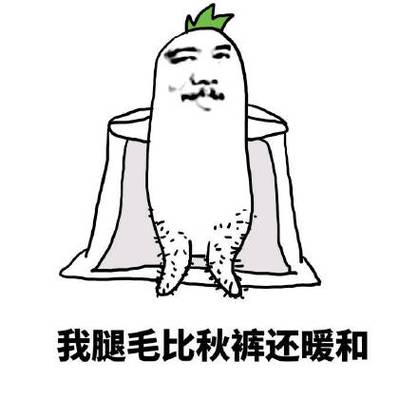 我腿毛比秋裤还暖和