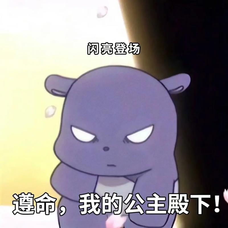 闪亮登场 遵命，我的公主殿下！