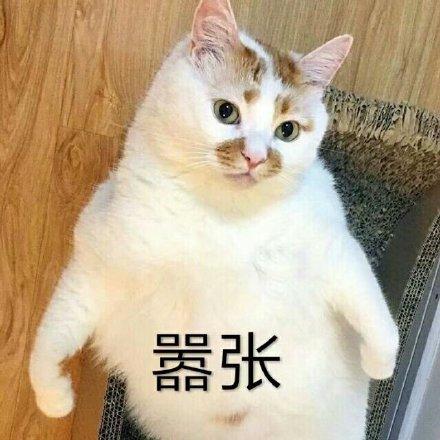 器张