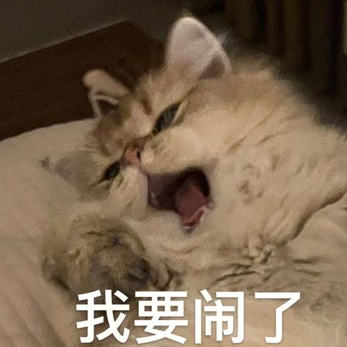 我要闹了