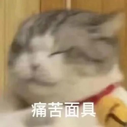 痛苦面具