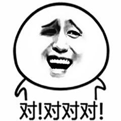 对！对对对！