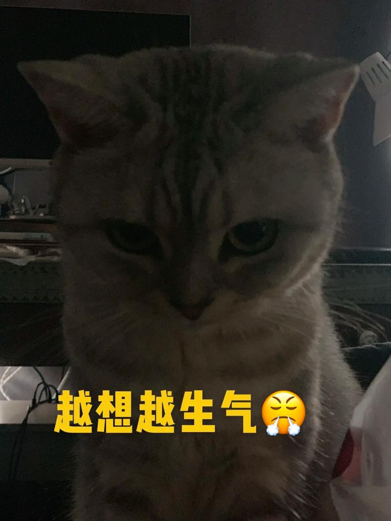 越想越生气