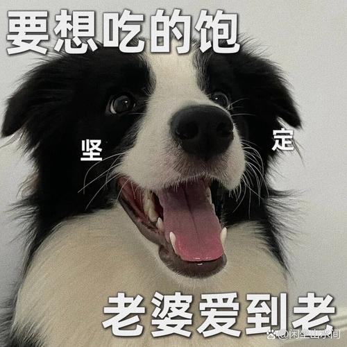 要想吃的饱 定 坚 老婆爱到老