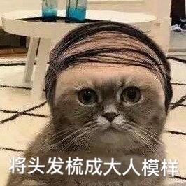 将头发梳成大人模样