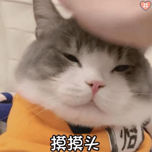 摸摸头