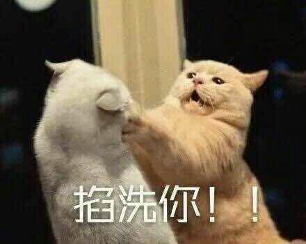掐洗你！