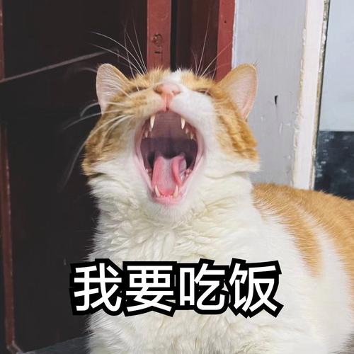 我要吃饭