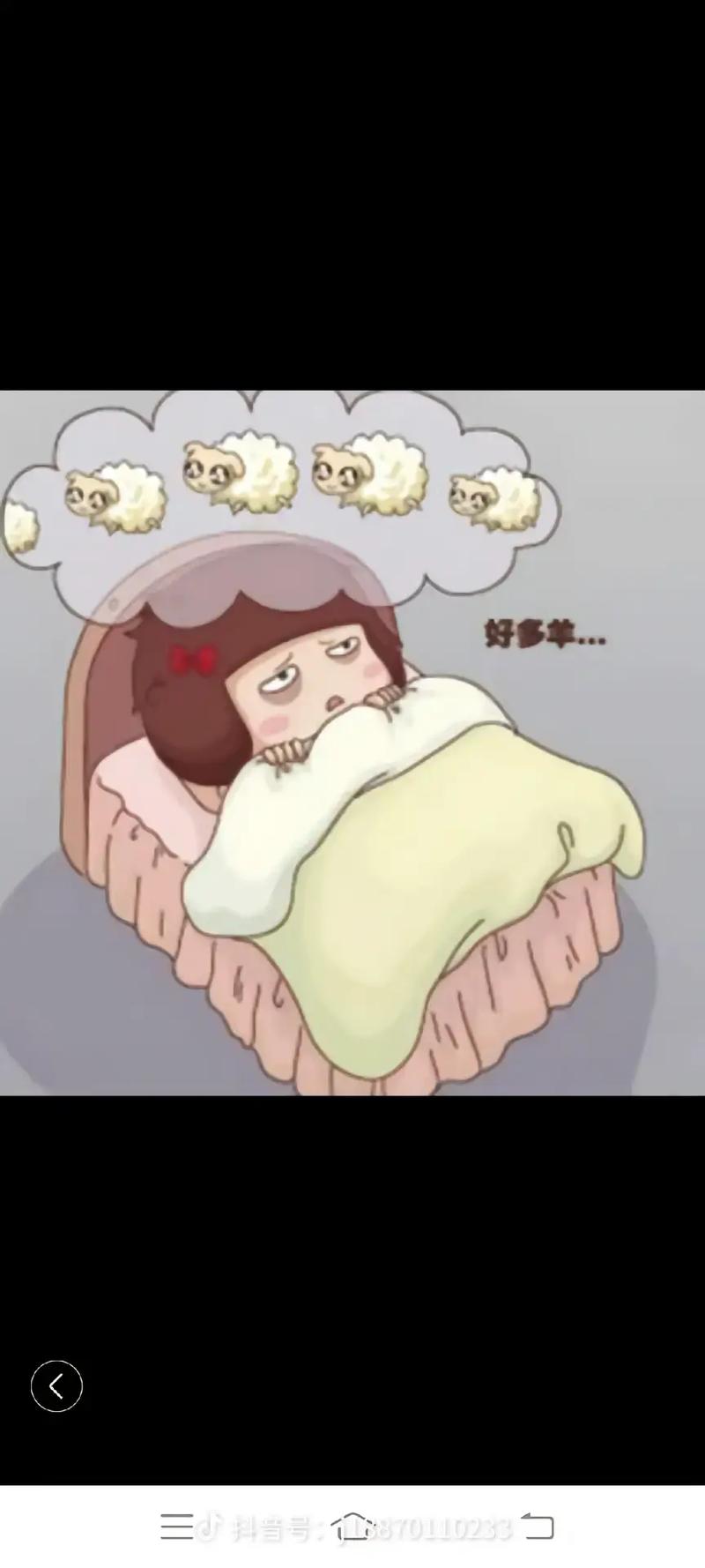 好多羊...