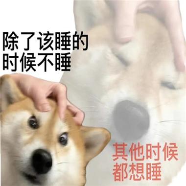 除了该睡的 时候不睡 其他时候 都想睡