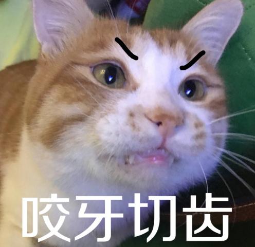 咬牙切齿