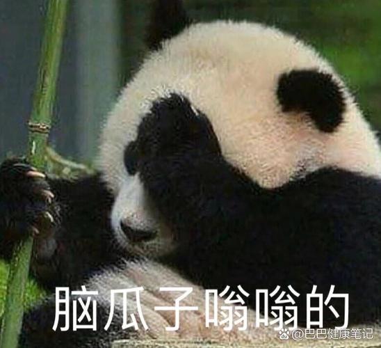 脑瓜子嗡嗡的 @巴巴健康笔记