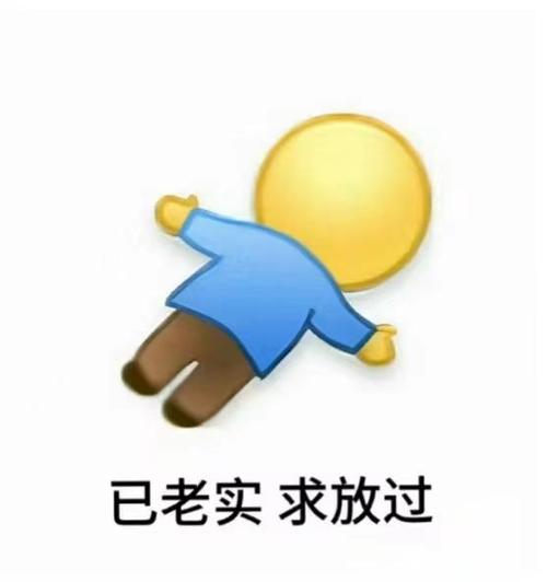 已老实求放过