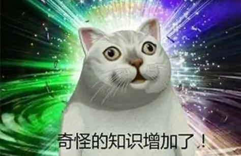 奇怪的知识增加了