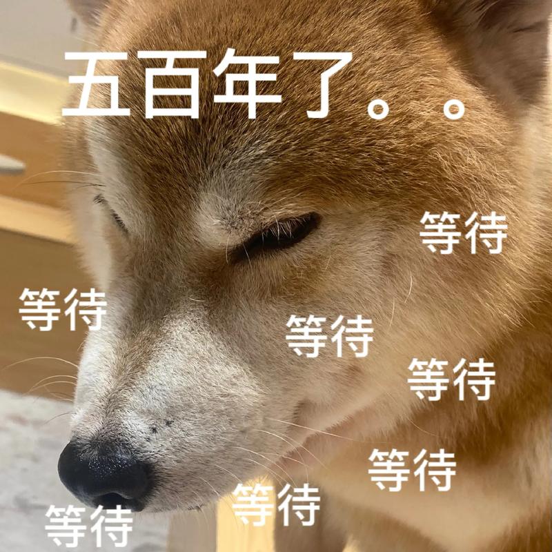 五百年了 等待 等待 等待 等待 等待 等侍