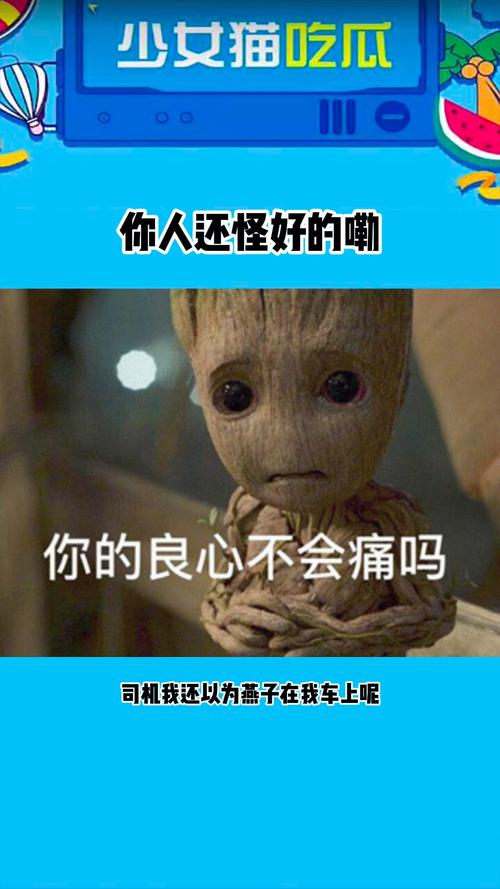 少女猫吃瓜 你人还怪好的嘞 你的良心不会痛吗 司机我还以为燕子在我车上呢