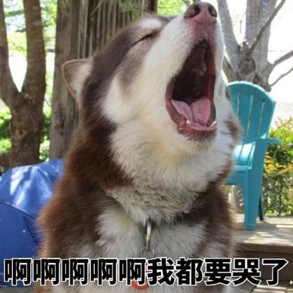 啊啊啊啊啊我都要哭了