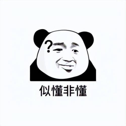 似懂非懂