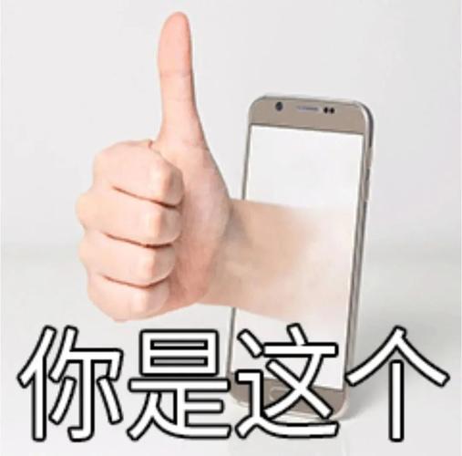 你是这个