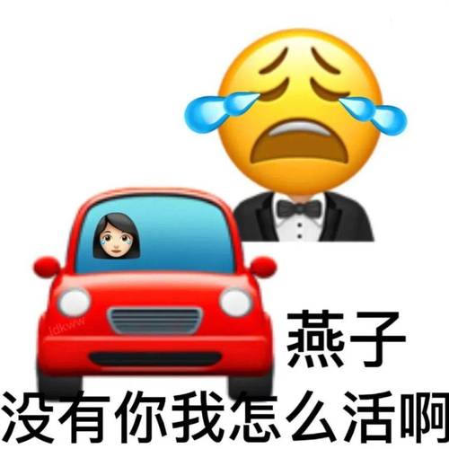 燕子 没有你我怎么活啊