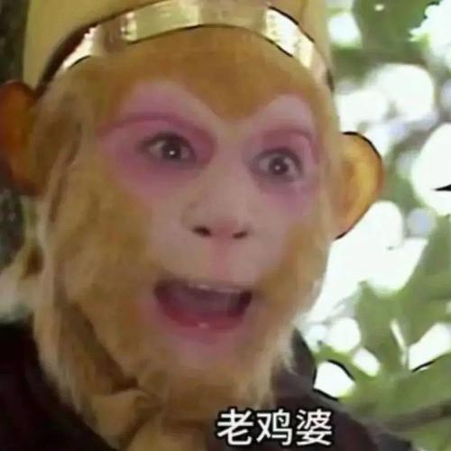 老鸡婆