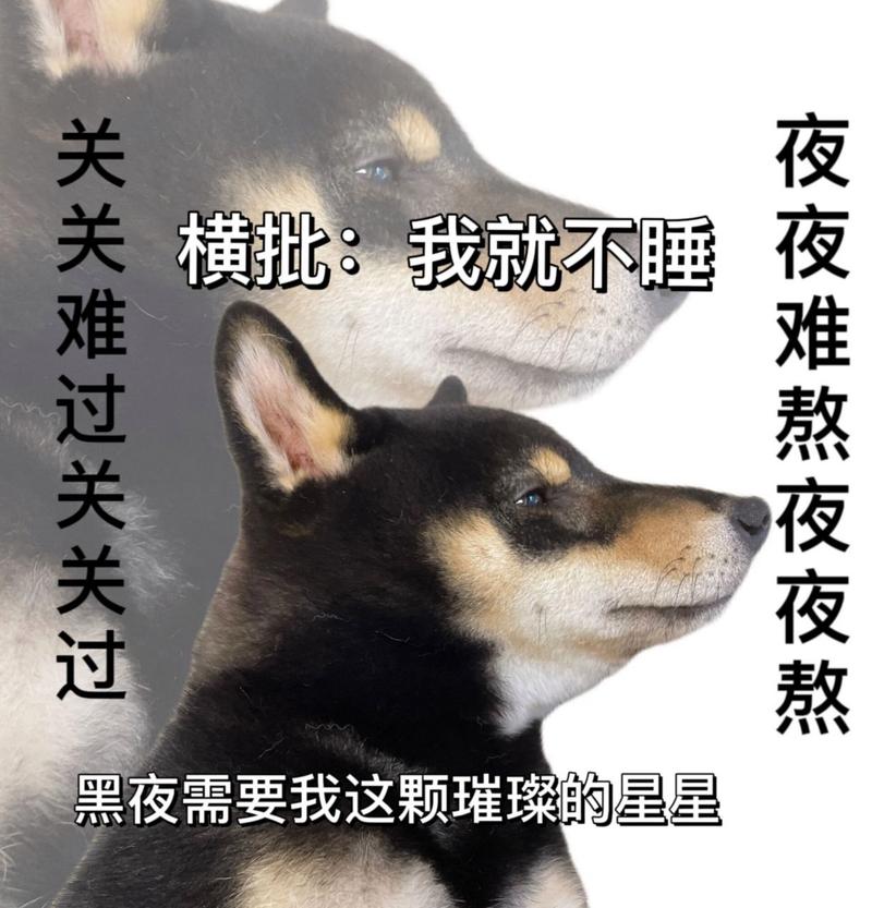 夜夜难熬夜夜熬 关々难过关々过 横批：我就不睡 黑夜需要我这颗璀璨的星星