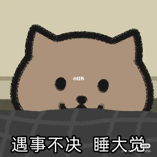 遇事不决 睡大觉