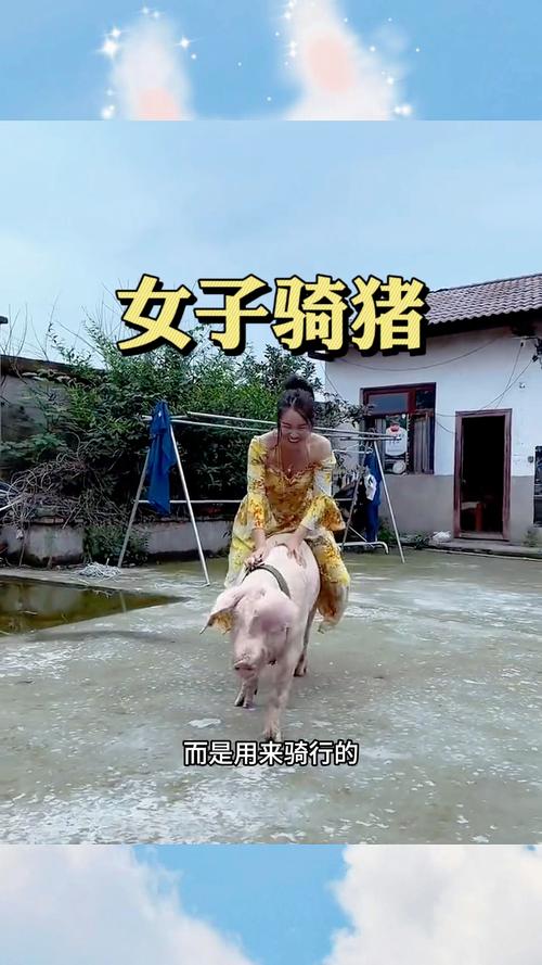 女子骑猪 而是用来骑行的