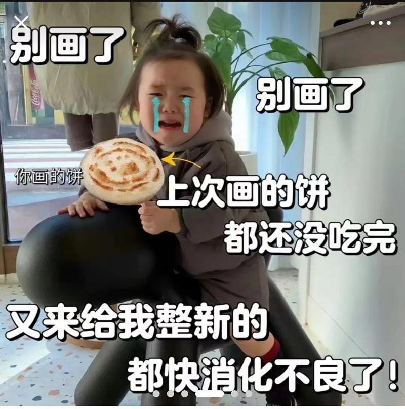 别画了 别画了 你画的饼 上次画的饼 都还没吃完 又来给我整新的 都快消化不良了！