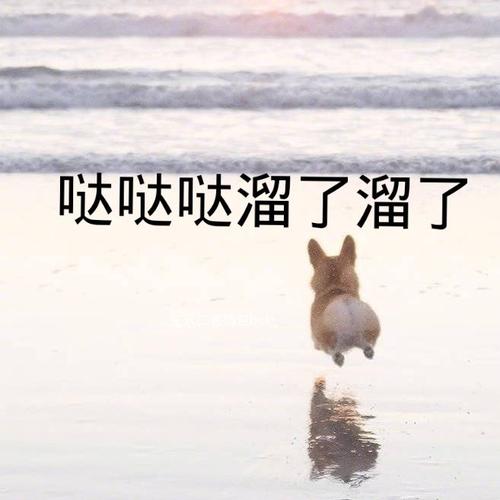 哒哒哒溜了溜了