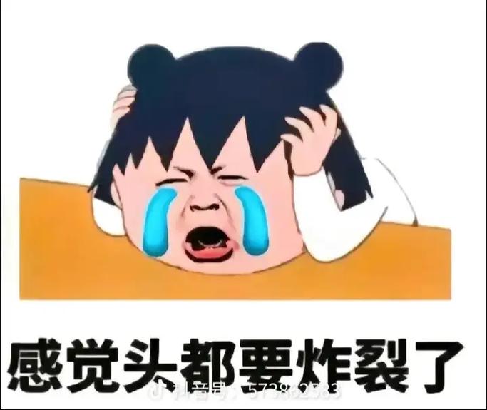 感觉头都要炸裂了