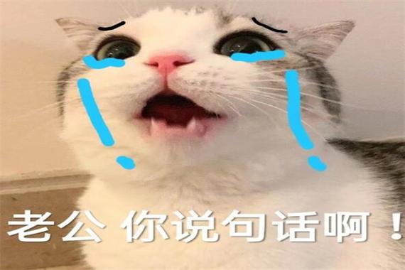 老公你说句话啊！