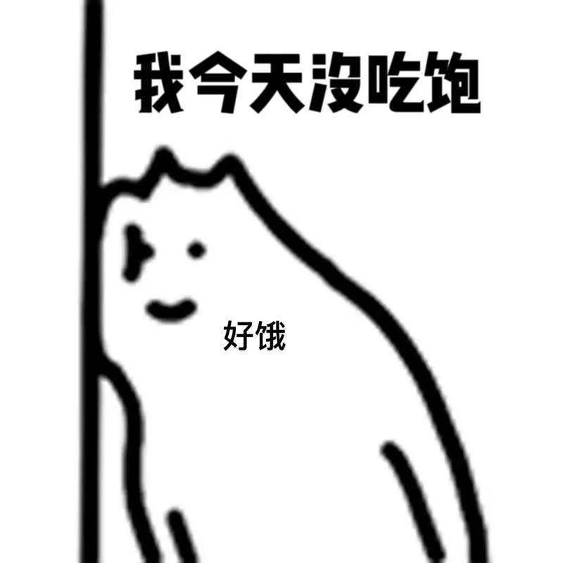 我今天没吃饱 好饿