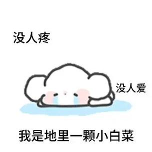 没人疼 没人爱 我是地里一颗小白菜