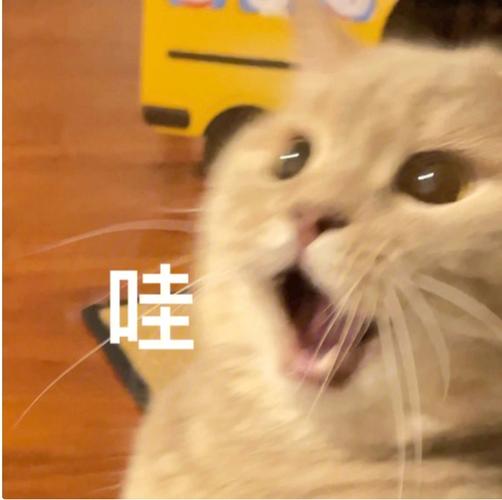 哇