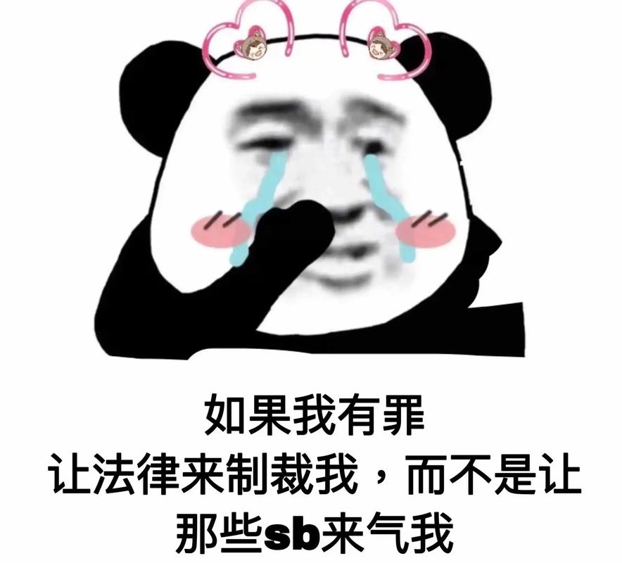 如果我有罪 让法律来制裁我，而不是让 那些sb来气我