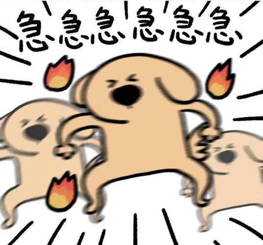 急急急急急急