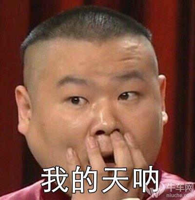 我的天呐 niuche