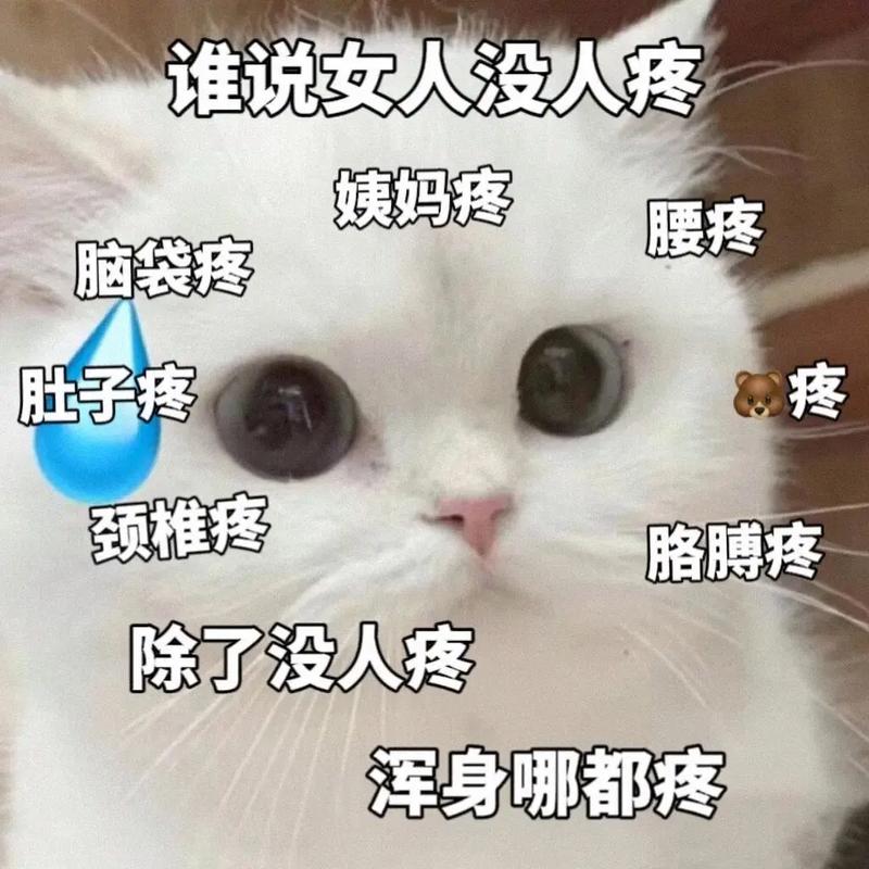 谁说女人没人疼 姨妈疼 腰疼 脑袋疼 肚子疼 疼 颈椎疼 胳膊疼 除了没人疼 浑身哪都疼