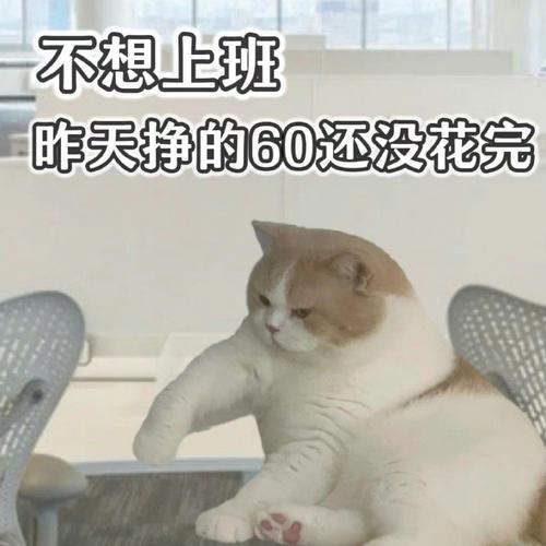 不想上班 昨天挣的60还没花完