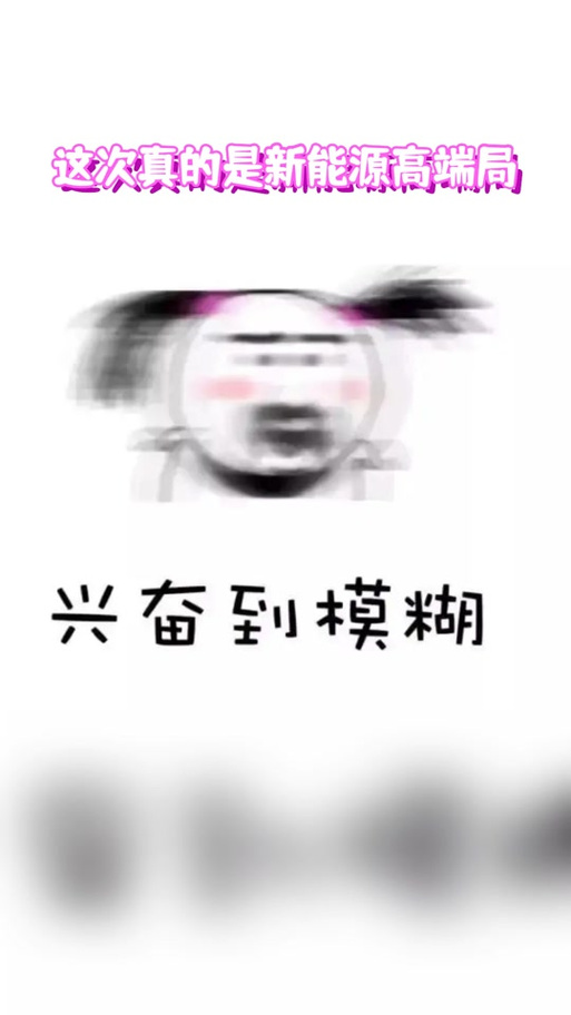 这次真的是新能源高端局 兴奋到模糊