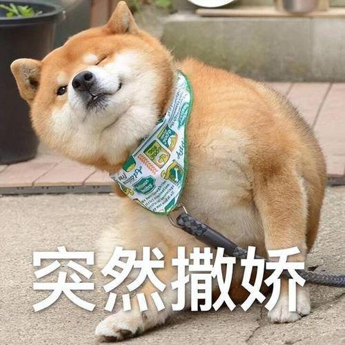 突然撒娇