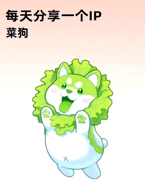 每天分享一个IP 菜狗