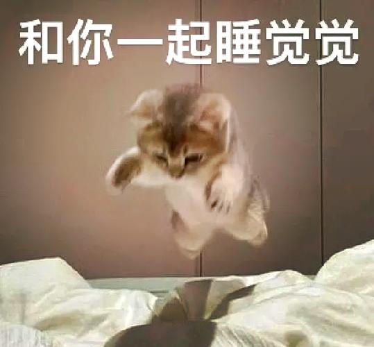 和你一起睡觉觉